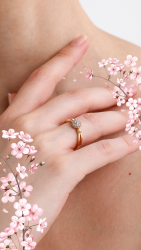 Yüzük - Sarraf Kuyumculuk